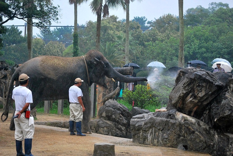 久々の動物園_a0112572_16104984.jpg