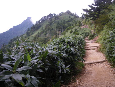 f0064278_73758.jpg