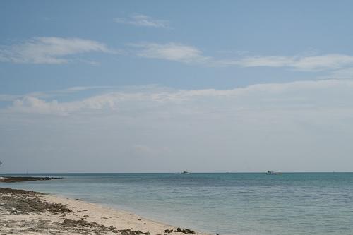 e0061785_19305032.jpg