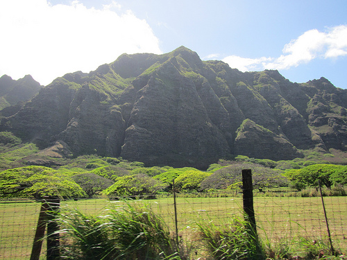 Oahu（オアフ島北東部）_f0189895_1512043.jpg