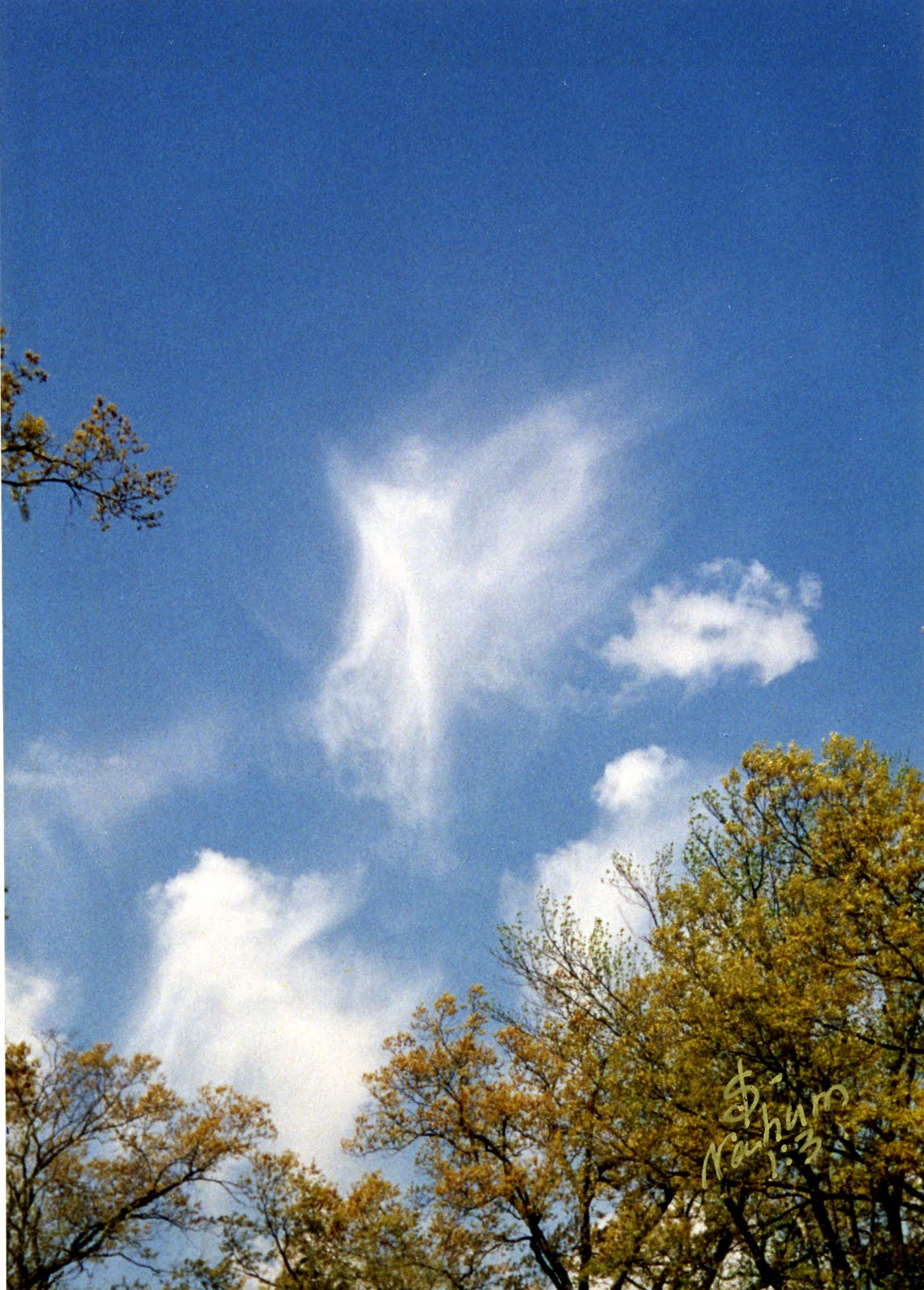 a0293798_814565.jpg