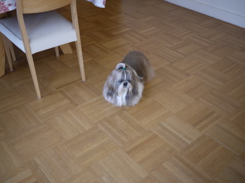 c0090198_314820.jpg