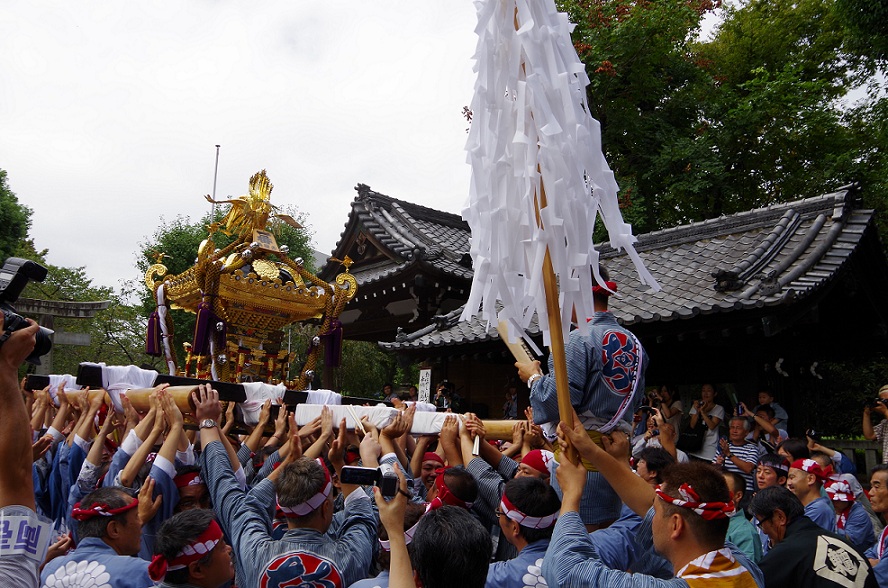 牛嶋神社大祭 ~氏子各町大神輿連合渡御(本社宮入り)編~_c0223001_1210020.jpg