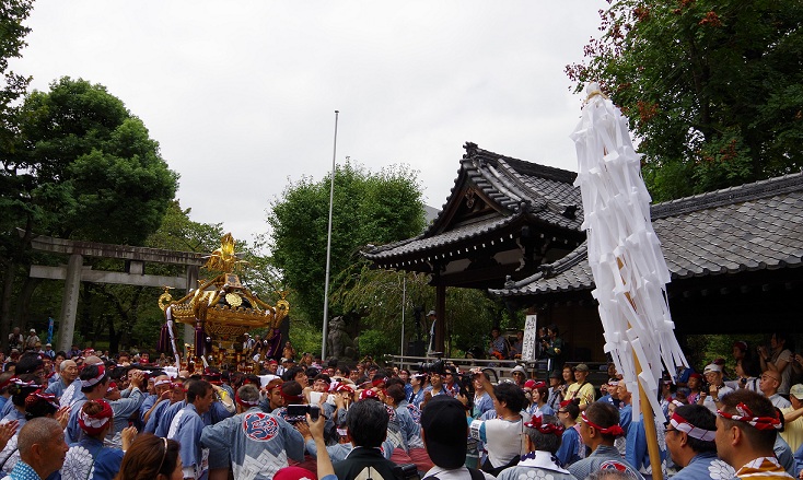 牛嶋神社大祭 ~氏子各町大神輿連合渡御(本社宮入り)編~_c0223001_1295866.jpg