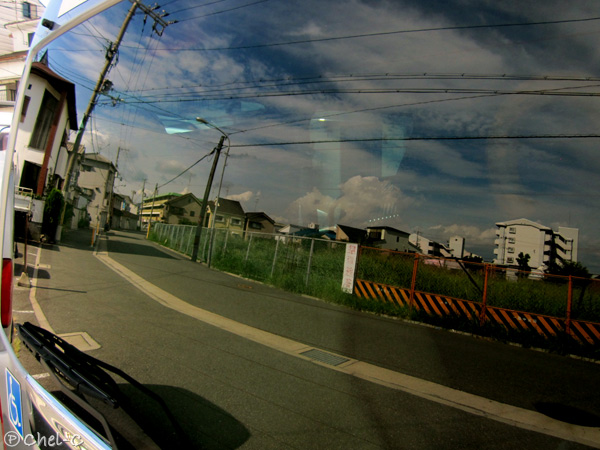 a0154706_11642.jpg