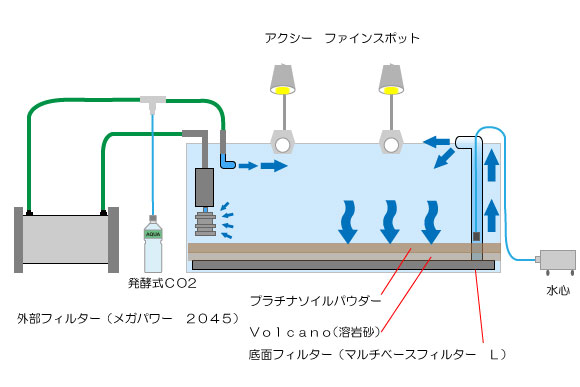 なんちゃってアクアリスト