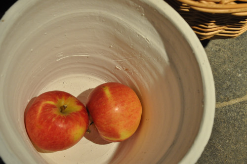 f0188408_16572711.jpg