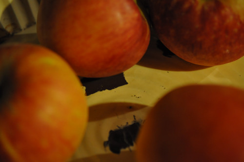 f0188408_16582364.jpg