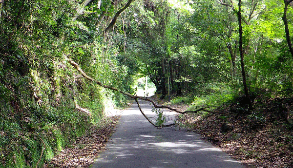 b0000209_7465359.gif