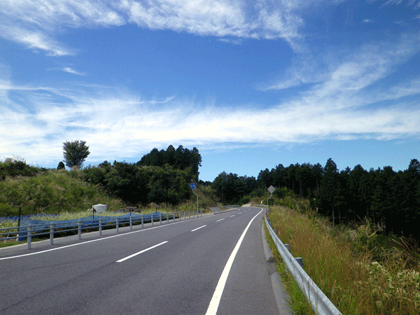 b0000209_824384.gif