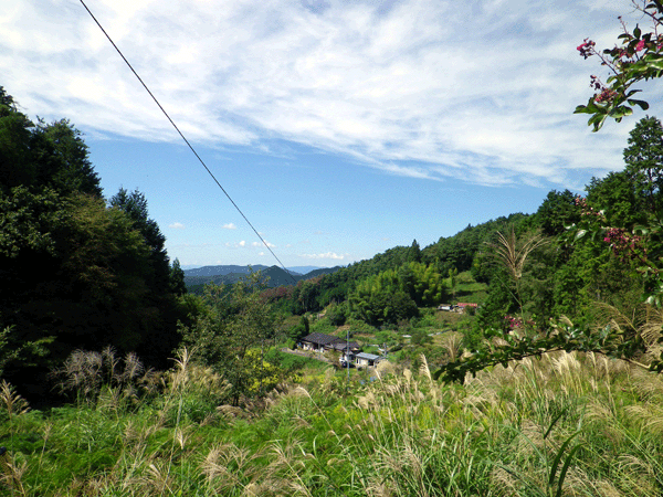 b0000209_8321273.gif