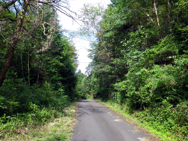 b0000209_8422162.gif