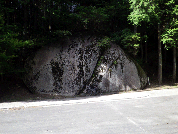 b0000209_8472342.gif