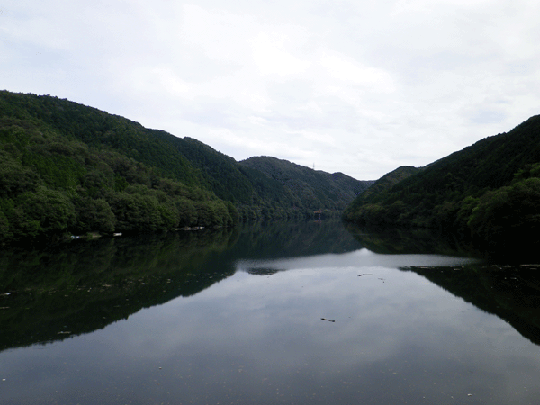 b0000209_871573.gif