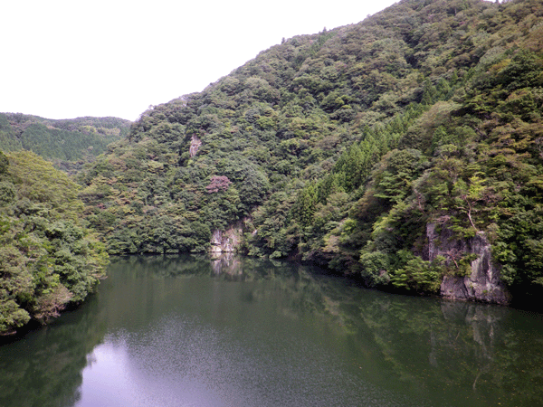 b0000209_893767.gif