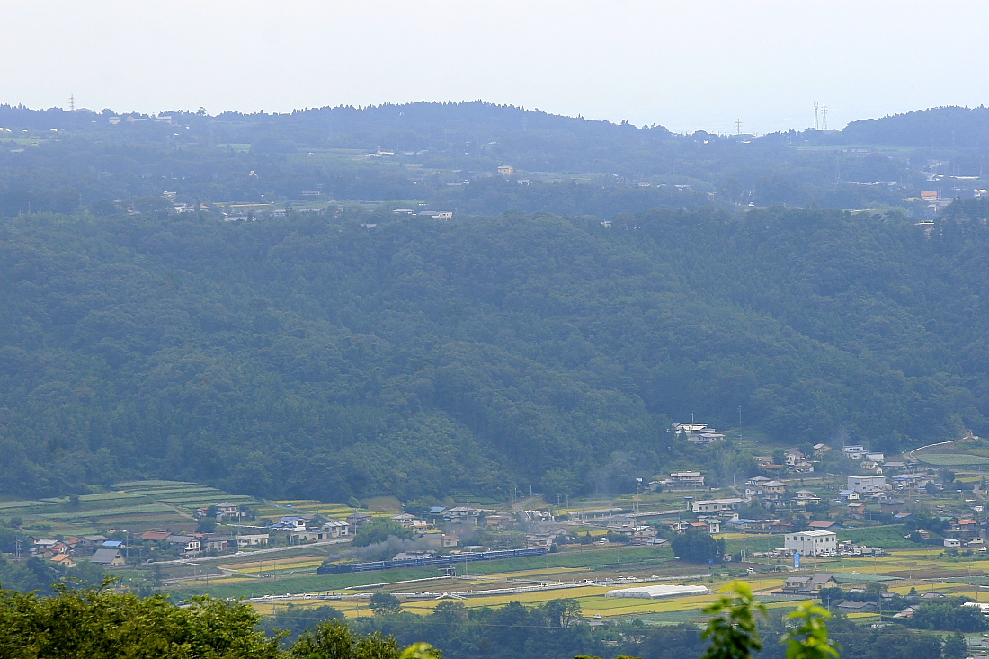 b0190710_79422.jpg