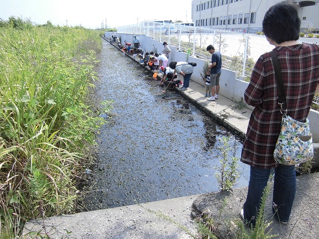 本当に、本当に残念だった!雨にたたられた「彼岸花ウォーク」_f0141310_7542572.jpg
