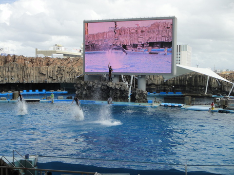 9/17　名古屋港水族館_c0175712_0114550.jpg