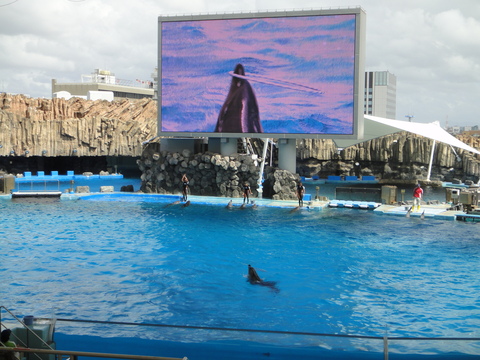 9/17　名古屋港水族館_c0175712_012483.jpg