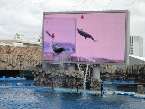 9/17　名古屋港水族館_c0175712_0133844.jpg