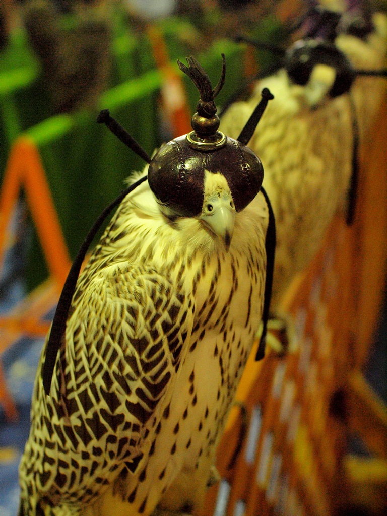 c0156313_2020643.jpg