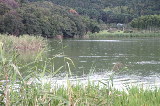 嵯峨野 収穫の盛り_e0048413_2051151.jpg