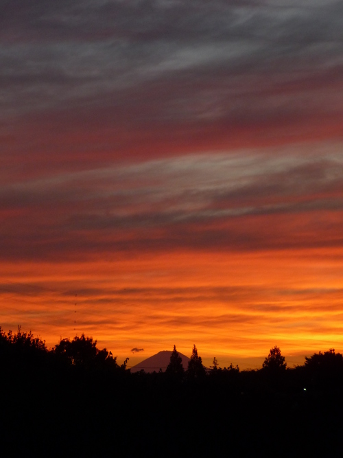 b0087914_20224770.jpg