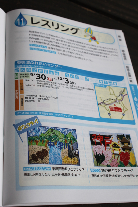ぎふ清流国体_d0063218_1212351.jpg