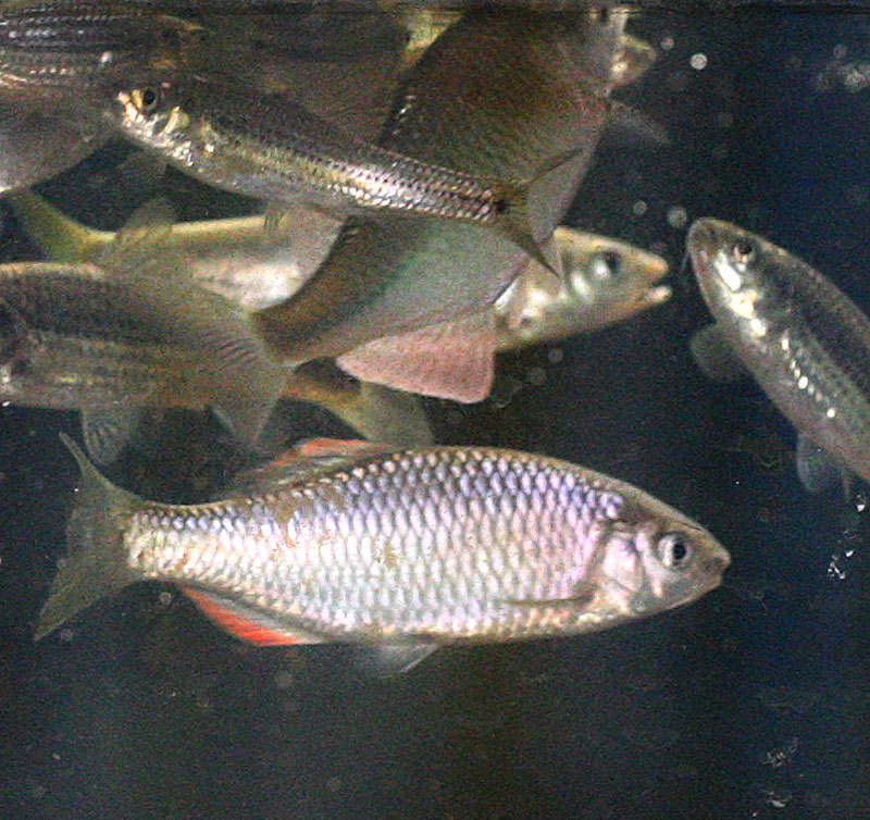 f0181821_16563672.jpg