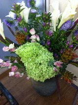 今週のお花とセール情報_a0200423_2081815.jpg