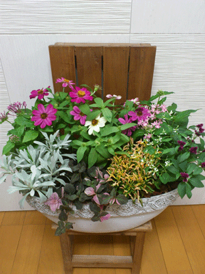 e0255026_1820117.gif
