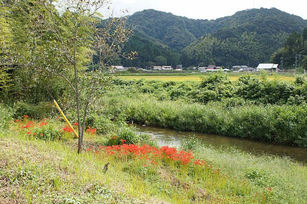 秋の八雲村ポタリング_f0007926_12172615.jpg