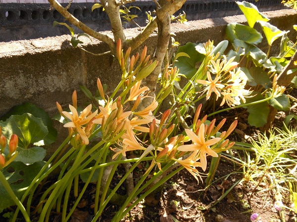 f0042737_15183626.jpg