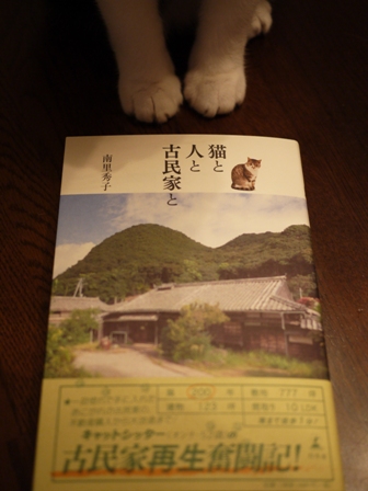 猫と人と古民家と猫 空編。_a0143140_23301064.jpg