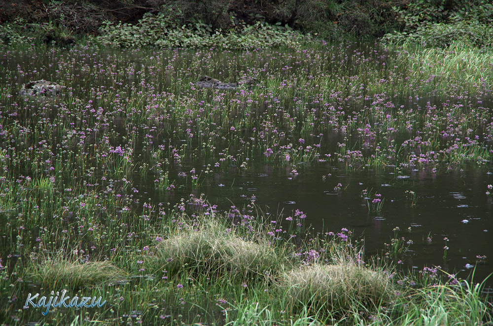 a0166940_074190.jpg