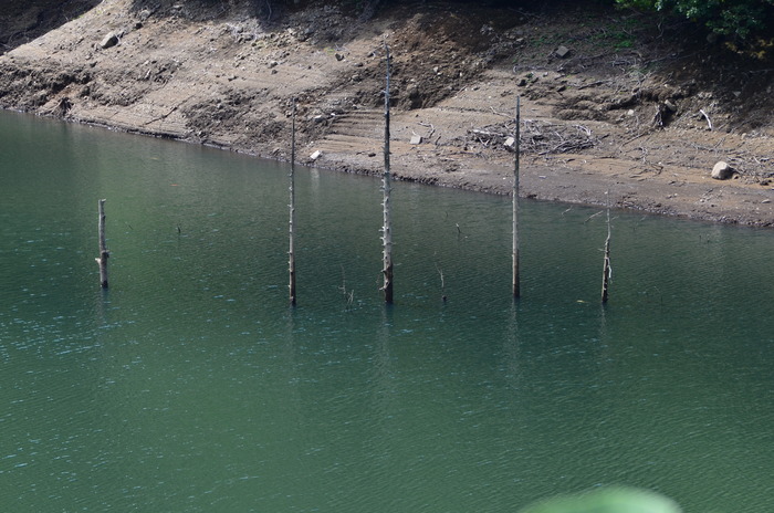 c0202242_1425182.jpg