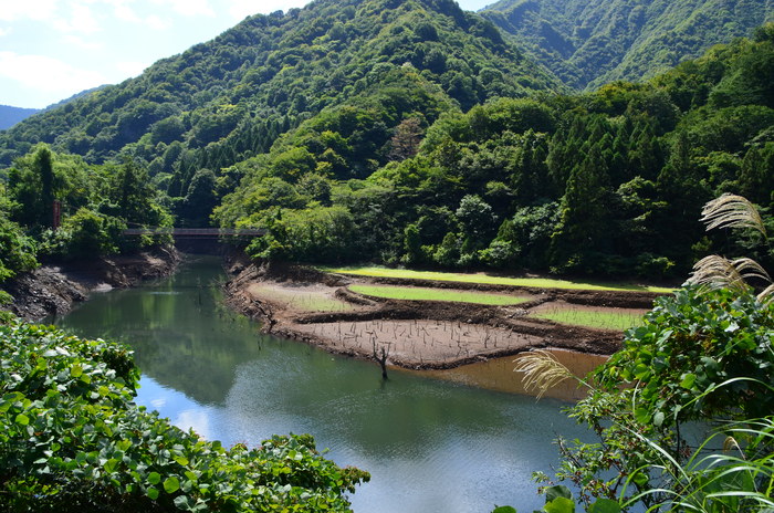 c0202242_143669.jpg
