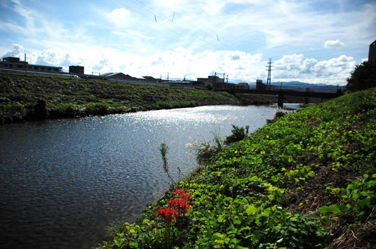 c0093046_819399.jpg