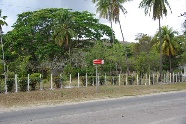c0011649_2327523.jpg