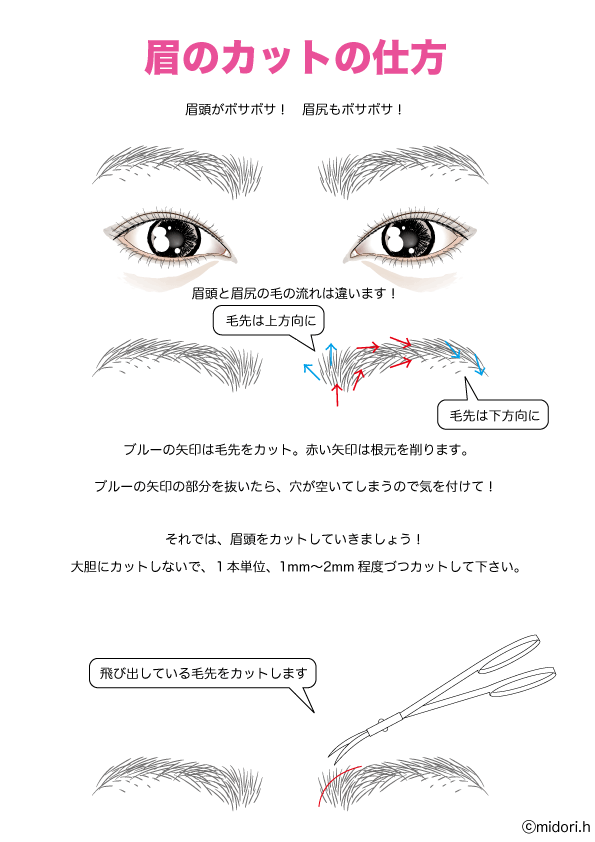 眉カットの仕方 もっと綺麗に