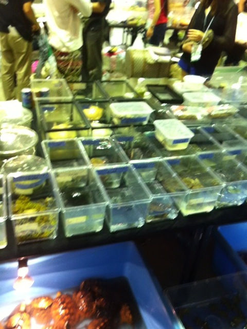 名古屋レプタイルズワールド2012_f0109257_423344.jpg