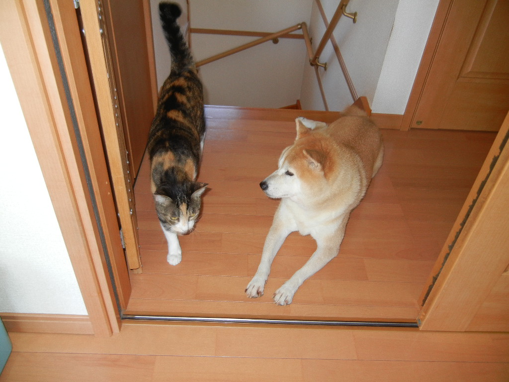 ’12,9,26(水)個展と美味しい秋!_f0060461_11474888.jpg