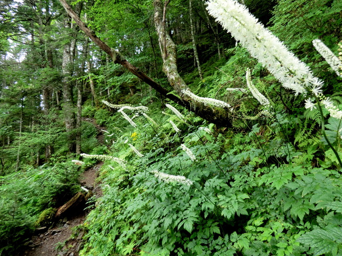 b0185573_15392779.jpg