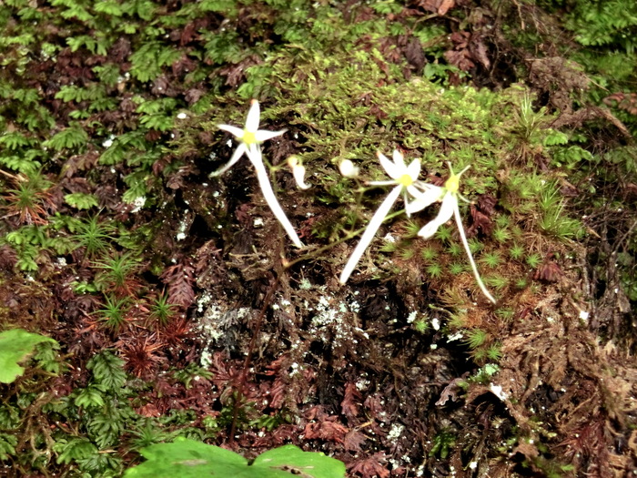 b0185573_15473864.jpg
