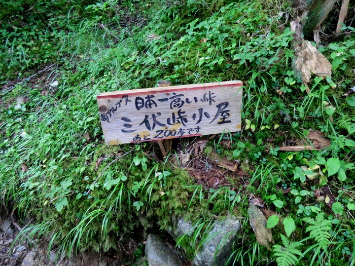 b0185573_16162437.jpg