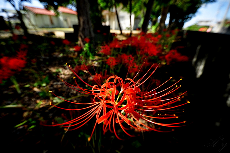 b0233979_21372972.jpg