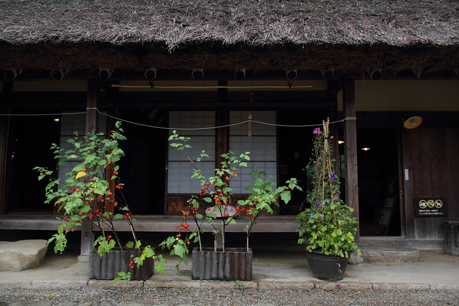 12.09.08：小雨の河川環境楽園でフレーミング遊び１_c0007190_19353663.jpg