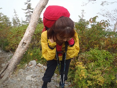 c0147398_23362649.jpg