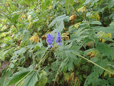 c0147398_233669.jpg