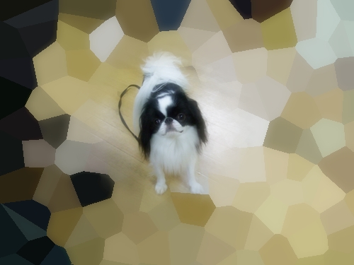 a0155999_3363825.jpg